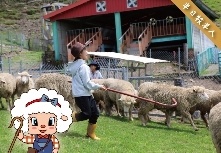 51勞動節半日牧羊人(國民賓館住宿旅客限定)