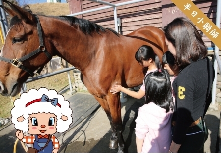 半日小騎師(國民賓館住宿旅客限定)